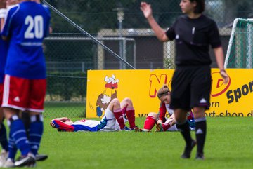 Bild 279 - Frauen SV Henstedt Ulzburg - Hamburger SV : Ergebnis: 2:2